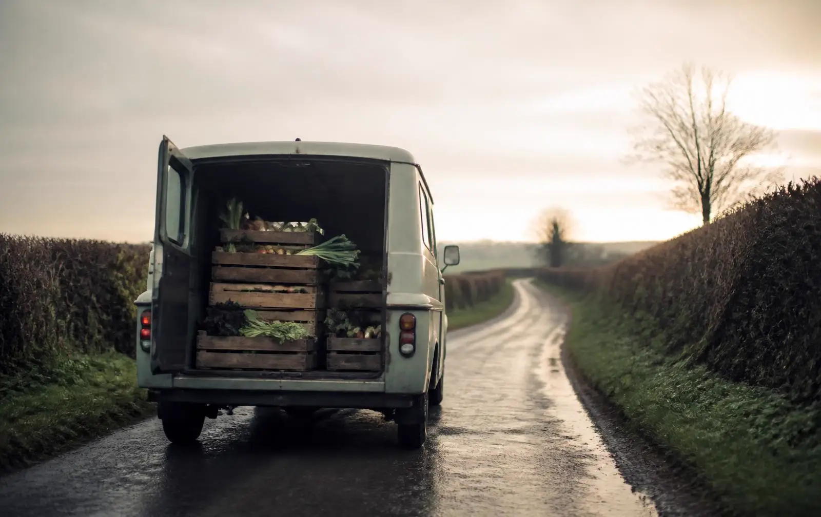 A farm van on a hedgerow lane at dawn